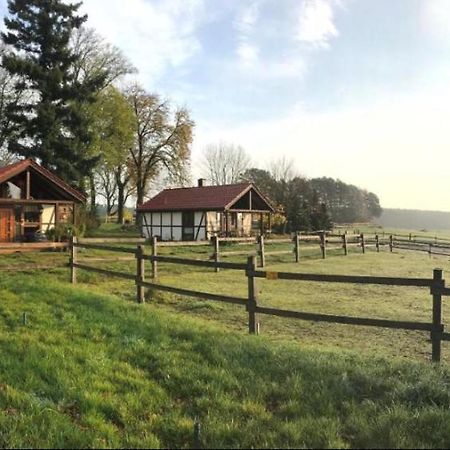 Hof Lillge Appartement Schorfheide Buitenkant foto