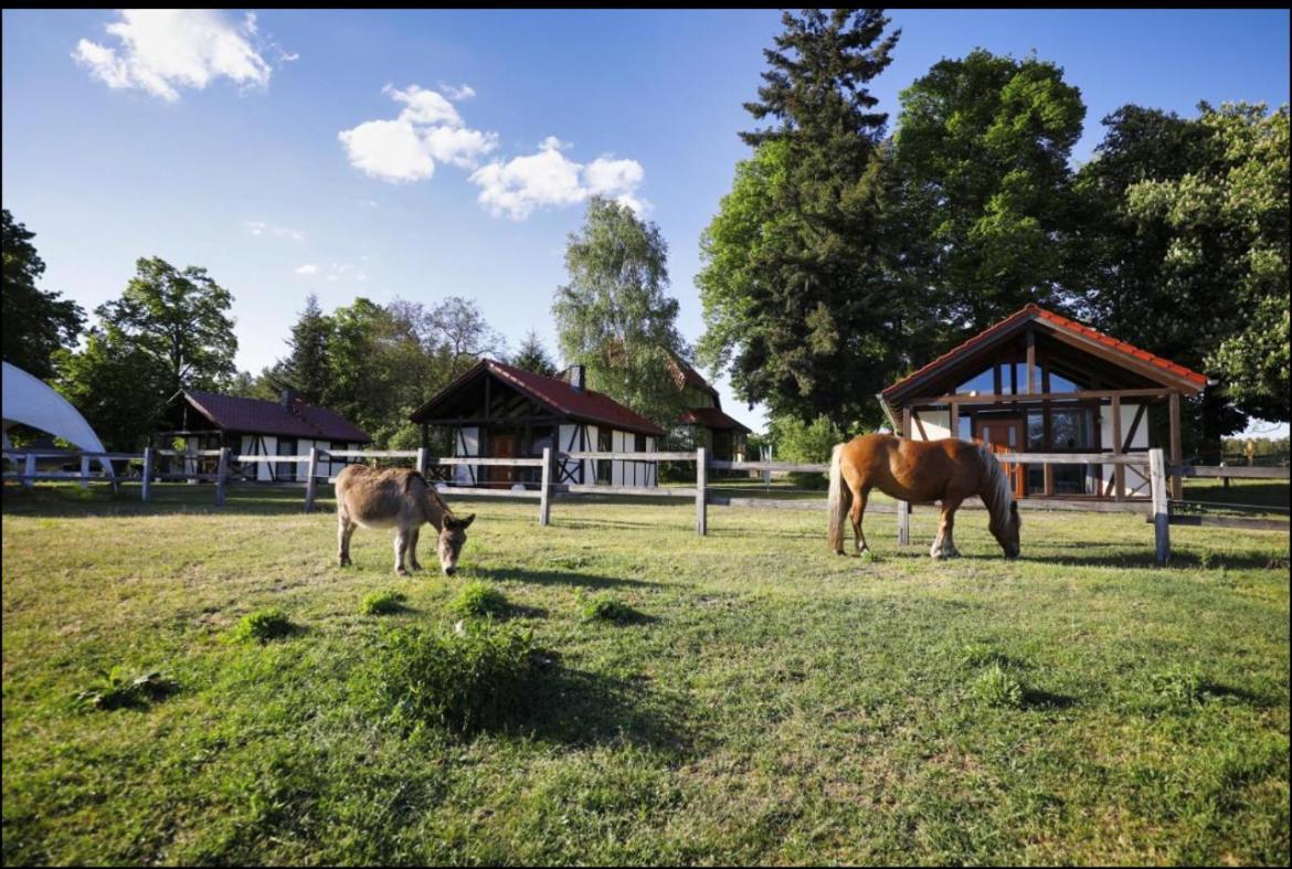 Hof Lillge Appartement Schorfheide Buitenkant foto